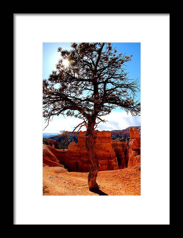Bryce Canyon. Bryce Canyon Ut Framed Print featuring the photograph Bryce Canyon #4 by Marti Green