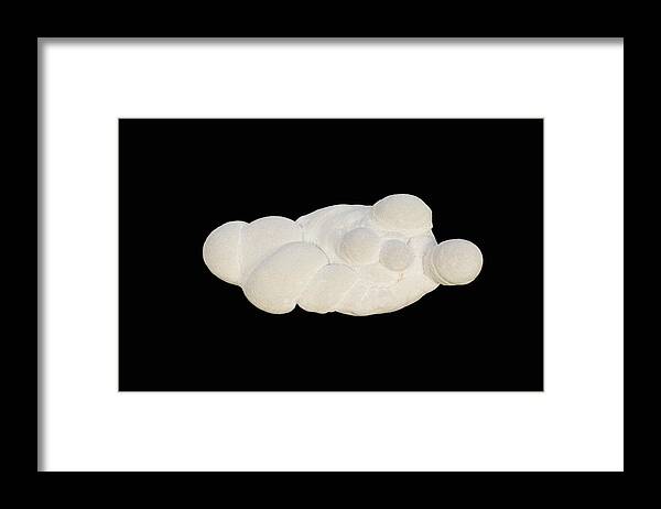 Clay Framed Print featuring the photograph Clay Concretion #2 by Science Stock Photography/science Photo Library