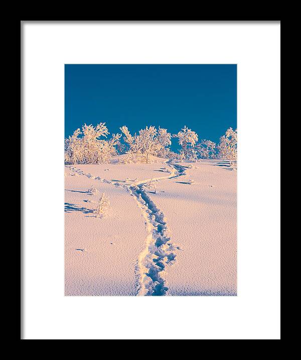 Photography Framed Print featuring the photograph Cold Winter In Lapland Sweden #2 by Panoramic Images