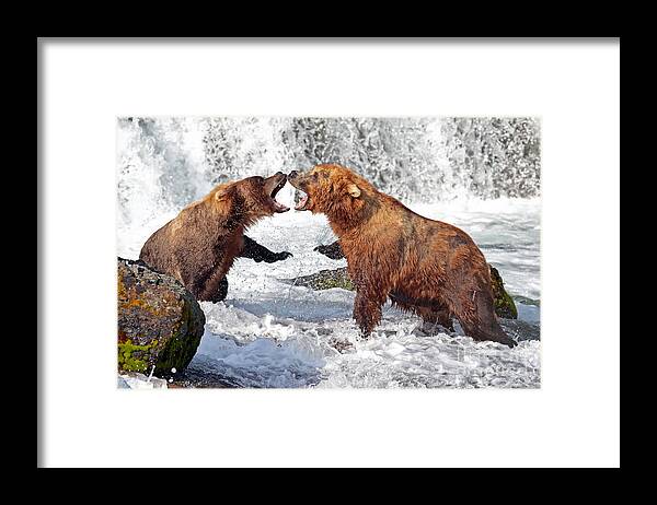 Water Framed Print featuring the photograph Combat Fishing by Bill Singleton