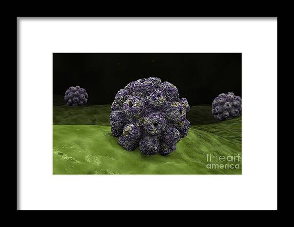 Horizontal Framed Print featuring the digital art Conceptual Image Of Polyomavirus #2 by Stocktrek Images