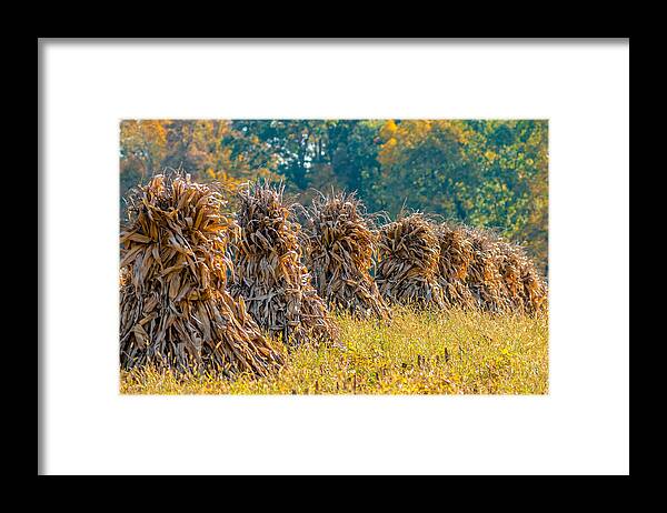 Abundance Framed Print featuring the photograph Corn Shocks by Brian Stevens