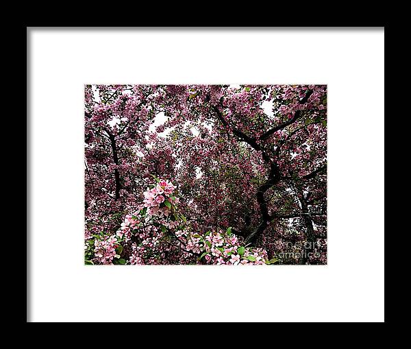 Blooms Framed Print featuring the photograph Deep #2 by Joseph Yarbrough