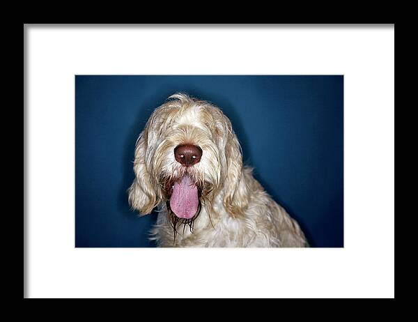 Dog Framed Print featuring the photograph Drooling Dog #2 by Mauro Fermariello/science Photo Library