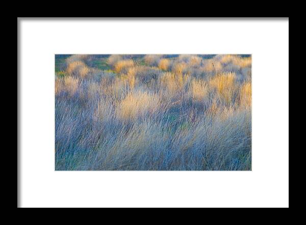 Grass Framed Print featuring the photograph Evening Light #2 by Larry Goss