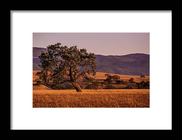 Scenics Framed Print featuring the photograph Exploring Santa Barbaras Wine Country #2 by George Rose