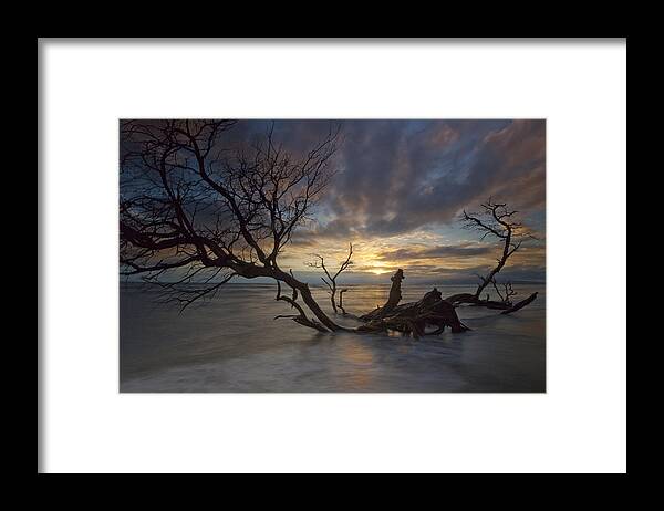 Maui Hawaii Sunset Ebb N Flow Colorful Seascape Framed Print featuring the photograph Fallen Tree #2 by James Roemmling