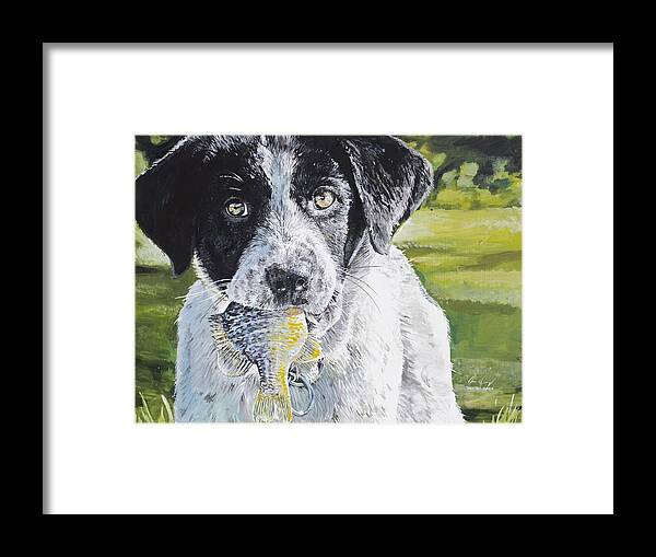 Dog Framed Print featuring the painting First Catch by Aaron Spong