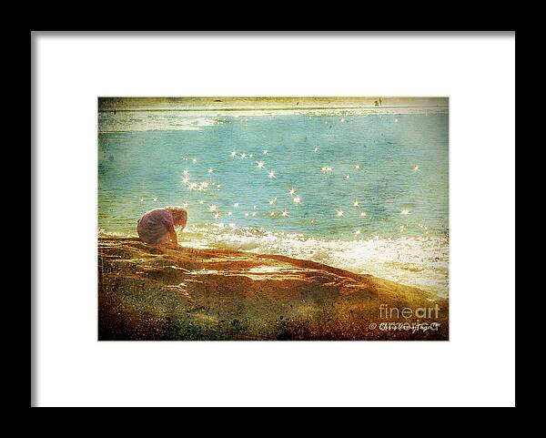  Beach Framed Print featuring the photograph Focussed by Chris Armytage
