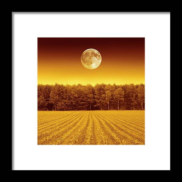 Nobody Framed Print featuring the photograph Full Moon Over A Field #2 by Detlev Van Ravenswaay