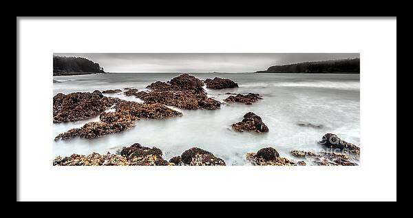 Nature Framed Print featuring the photograph Grey Morning #2 by Steven Reed