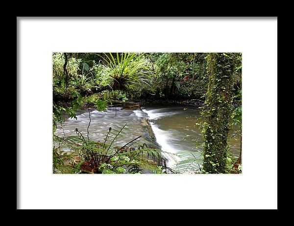 Stream Framed Print featuring the photograph Jungle stream #2 by Les Cunliffe
