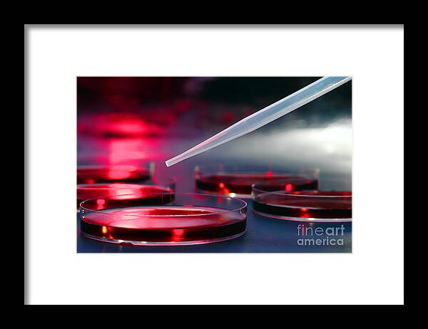Biology Framed Print featuring the photograph Laboratory Experiment in Science Research Lab #2 by Olivier Le Queinec