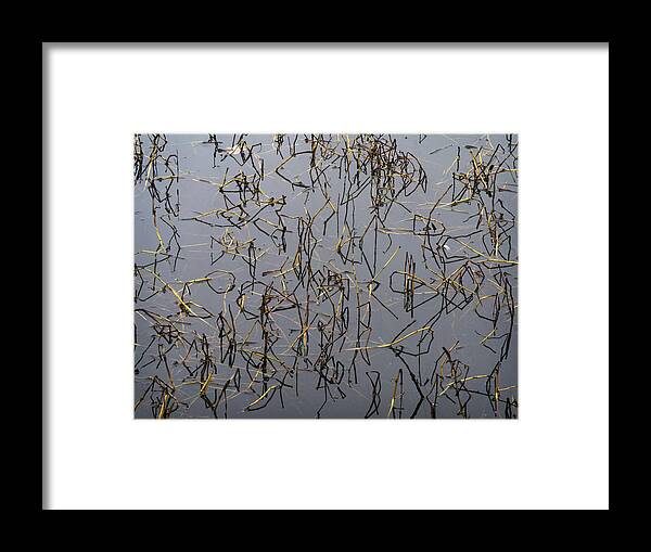Water Plants Reflection Framed Print featuring the photograph Linacre calligraphy by Jerry Daniel