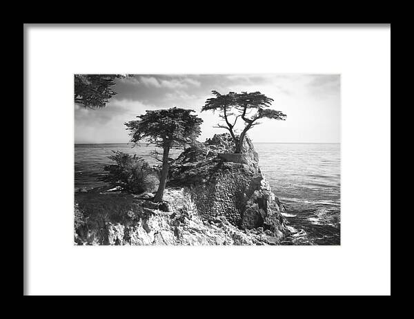 Photo Framed Print featuring the photograph Lone Cypress -3 #2 by Alan Hausenflock