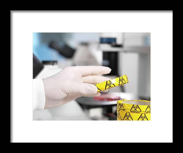 Microbiology Framed Print featuring the photograph Microbiology Lab #2 by Tek Image