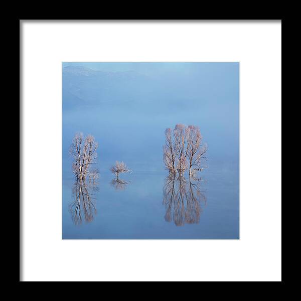Water's Edge Framed Print featuring the photograph Misty Lake In Spring #2 by Temizyurek