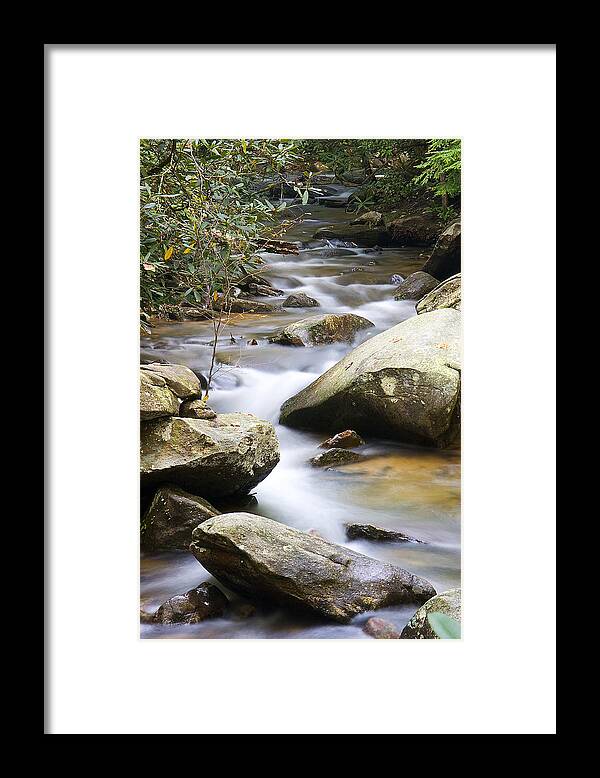 Landscape Framed Print featuring the photograph Mountain Stream #3 by David Palmer