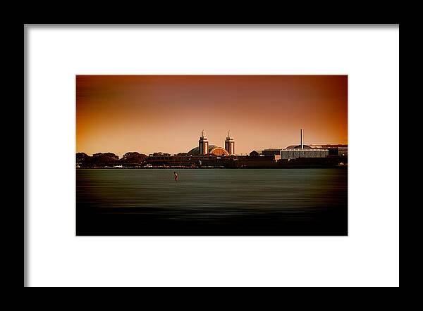 Navy Pier Framed Print featuring the photograph Navy Pier in color by Milena Ilieva