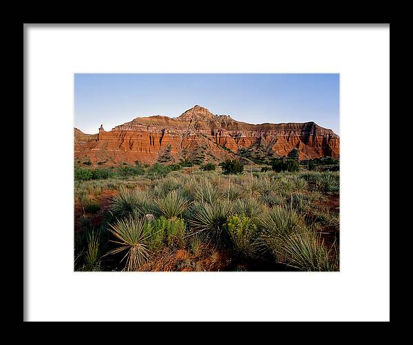 Amarillo Framed Print featuring the photograph Palo Duro Canyon #2 by Richard Smith