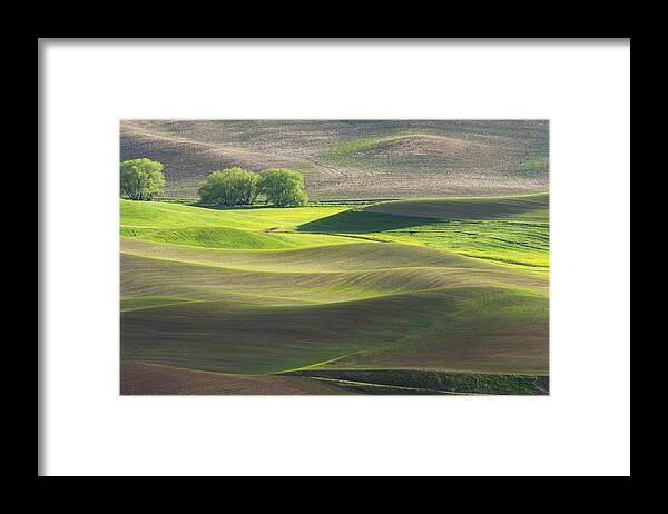 Palouse Colfax Washington Framed Print featuring the photograph Palouse in spring color #2 by Hisao Mogi