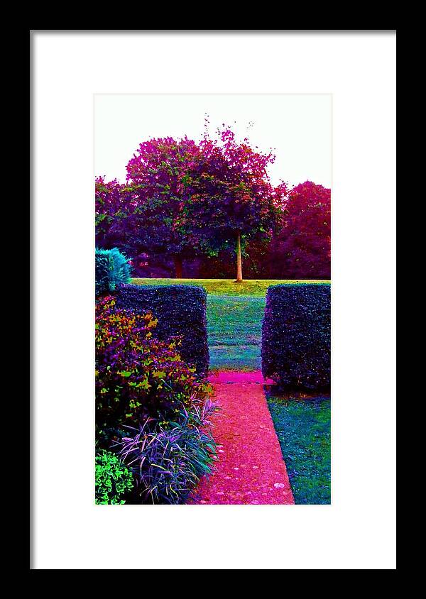 Path Garden Gardens Paths Tree Trees Hedge Rainbow Colors Colourful Bright Background Nature Summer Love Pretty Edit Editor Framed Print featuring the photograph Rainbow Garden #2 by Candy Floss Happy