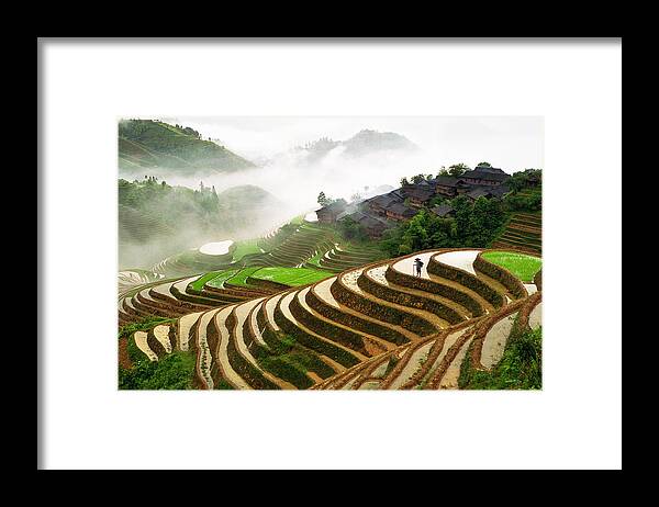 Rice Paddy Framed Print featuring the photograph Rice Terraces #3 by King Wu