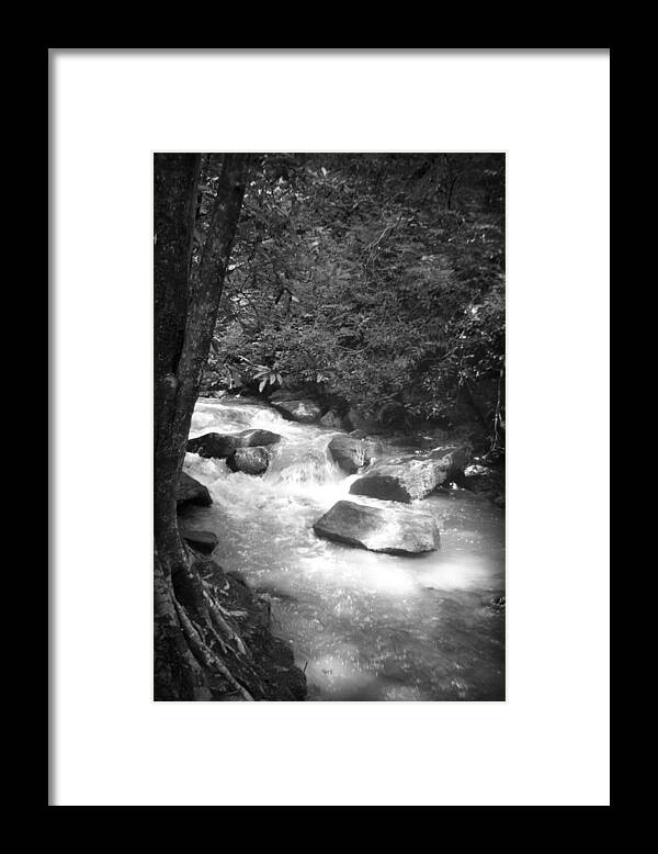Kelly Hazel Framed Print featuring the photograph Saluda River #2 by Kelly Hazel