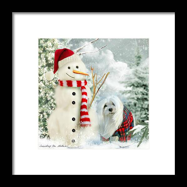 snowdrop The Maltese Framed Print featuring the mixed media Snowdrop and The Snowman #1 by Morag Bates