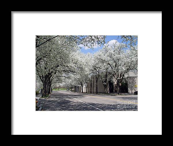 Corning Framed Print featuring the photograph Springtime Corning NY 1 #2 by Tom Doud