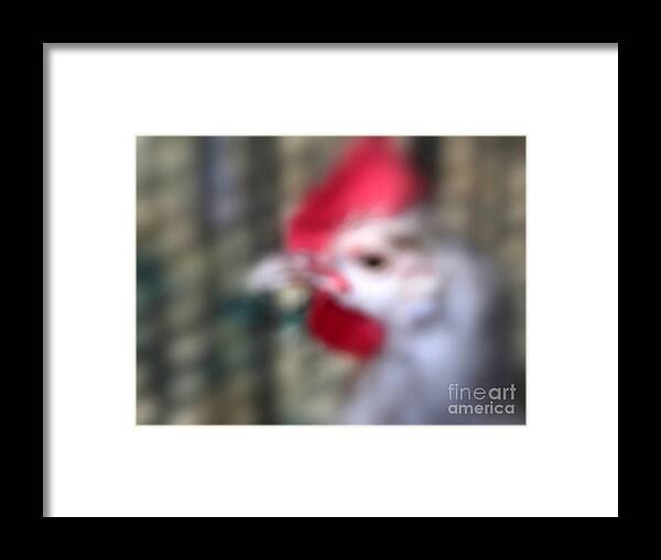 Chicken Framed Print featuring the photograph State Fair Chicken #2 by A K Dayton