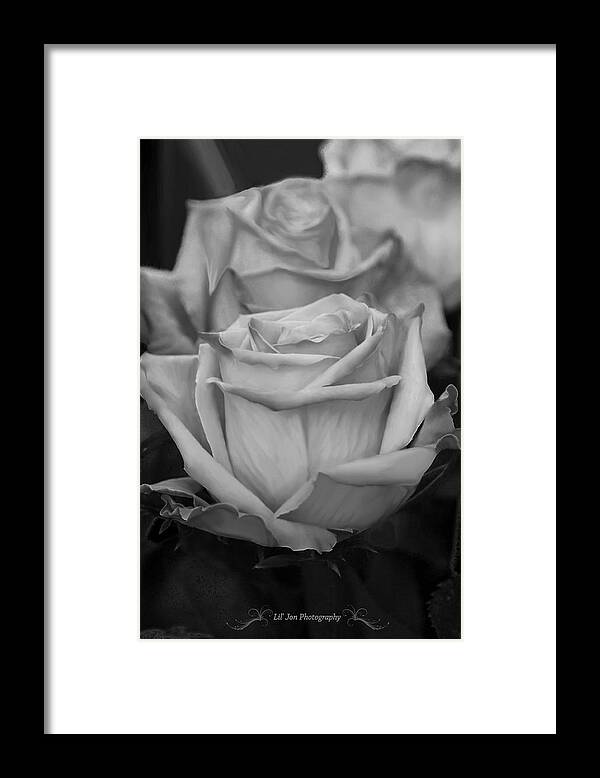 Rose Framed Print featuring the photograph Tea Roses In Black and White #2 by Jeanette C Landstrom