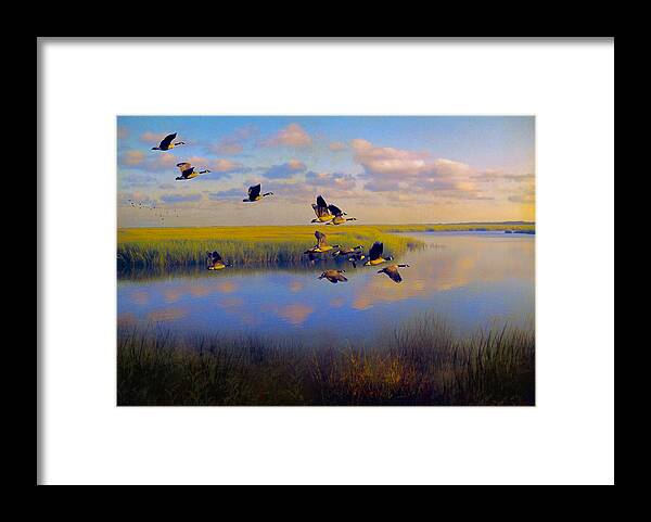 #geese Framed Print featuring the photograph The Landing #2 by John Rivera