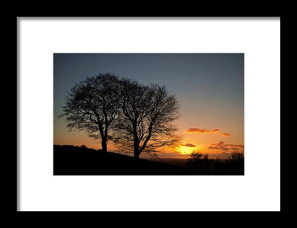 Raddon Top Framed Print featuring the photograph Trees on Raddon Top #2 by Pete Hemington