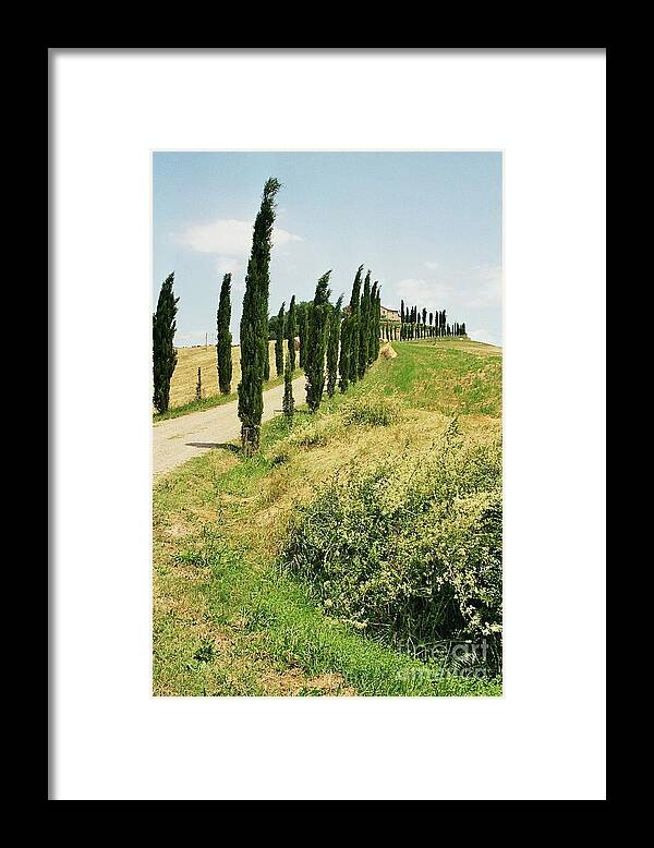 Cypress Framed Print featuring the photograph Tuscany Landscape by Christiane Schulze Art And Photography