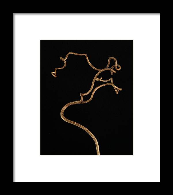 Plant Framed Print featuring the photograph Twisty Nature #2 by Claudio Bacinello