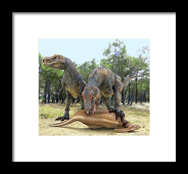 Parasaurolophus Framed Print featuring the photograph Tyrannosaurus Rex Dinosaurs by Roger Harris
