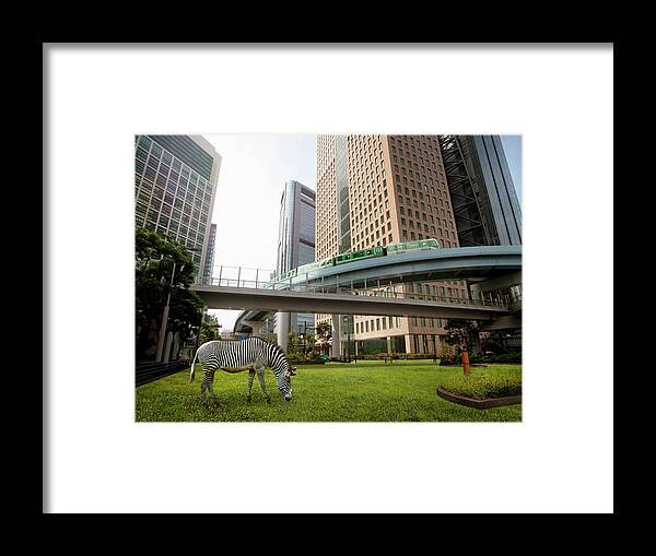 Out Of Context Framed Print featuring the photograph Urban Greening Plan #2 by Hiroshi Watanabe
