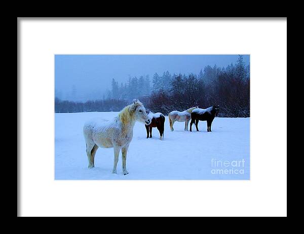 Horses Framed Print featuring the photograph Waiting #1 by Roland Stanke