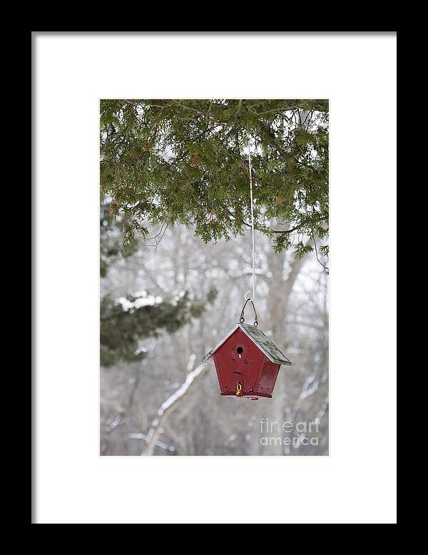 Birdhouse Framed Print featuring the photograph Winter Shelter #2 by Patty Colabuono