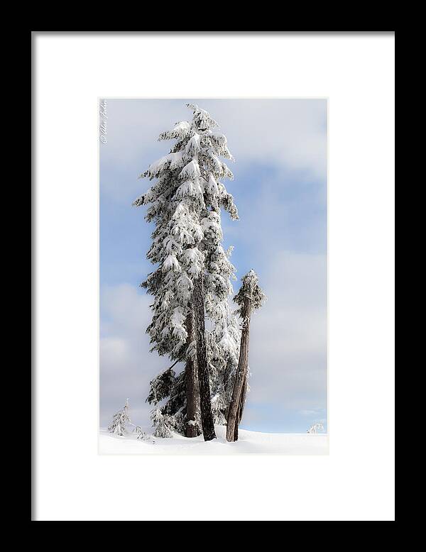 Landscape Framed Print featuring the photograph Winter Trees #2 by Alexander Fedin