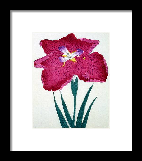 Floral Framed Print featuring the painting Japanese Flower by Japanese School