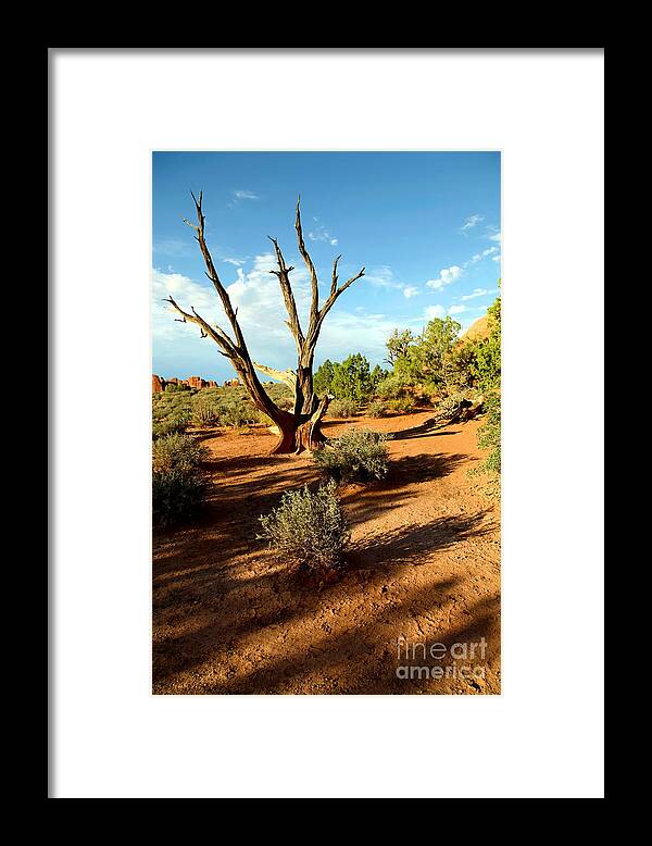 Arches National Park Framed Print featuring the photograph Arches National Park #23 by Sophie Vigneault