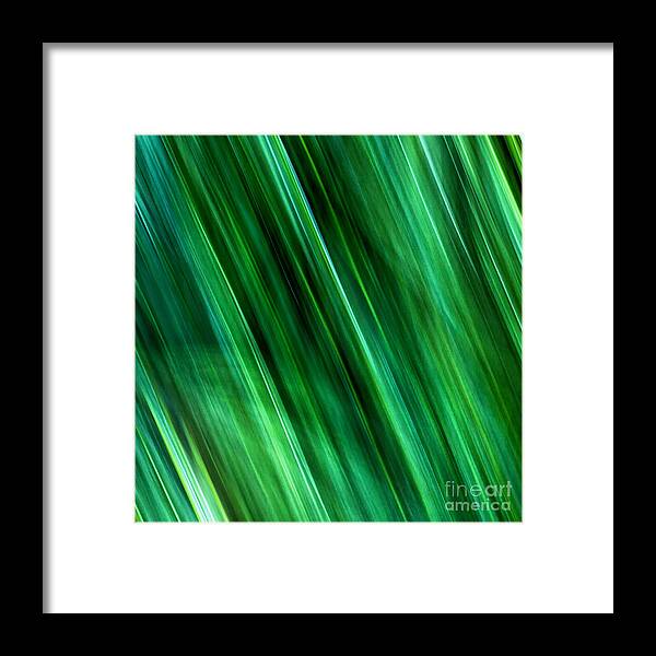 Joanne Bartone Photographer Framed Print featuring the photograph Meditations on Movement in Nature #24 by Joanne Bartone