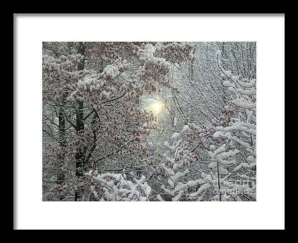 Serenity Scenes Framed Print featuring the photograph 2455 by Shasta Eone
