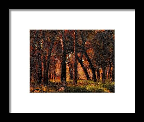 Trees Framed Print featuring the photograph 2738 by Peter Holme III