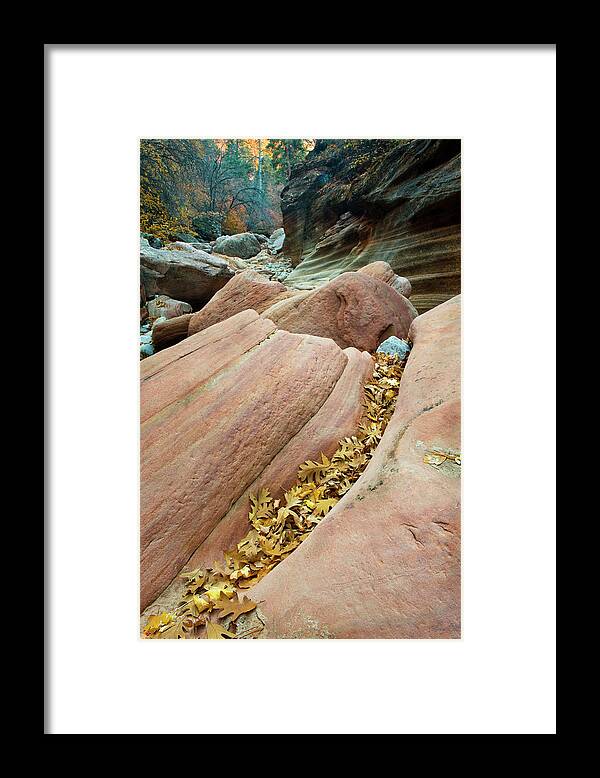 Canyon Framed Print featuring the photograph USA, Utah, Zion National Park #29 by Jaynes Gallery