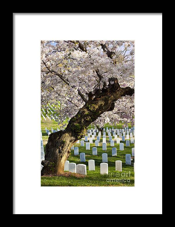 Arlington Framed Print featuring the photograph Arlington National Cemetary #1 by Brian Jannsen