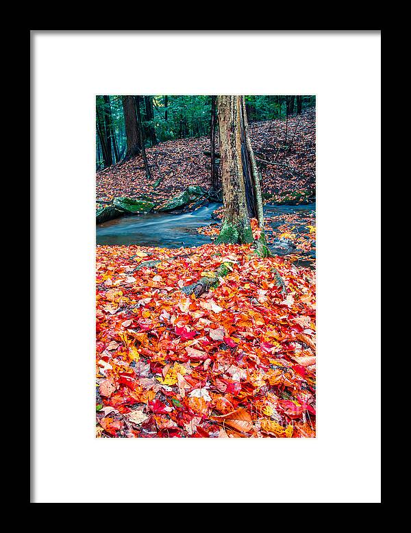 Gorge Framed Print featuring the photograph Chesterfield Gorge New Hampshire #3 by Edward Fielding
