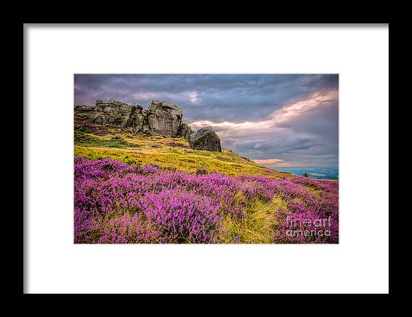 Airedale Framed Print featuring the photograph Cow and Calf Rocks by Mariusz Talarek